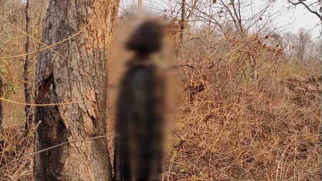 The bodies of two brothers were found hanging from a noose.