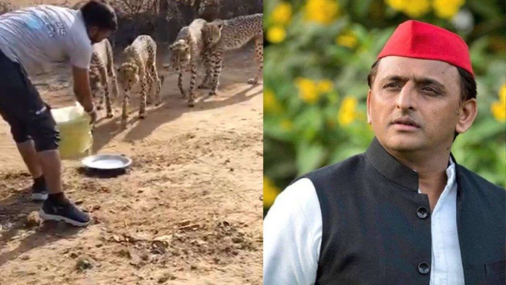 Akhilesh Yadav targeted BJP.