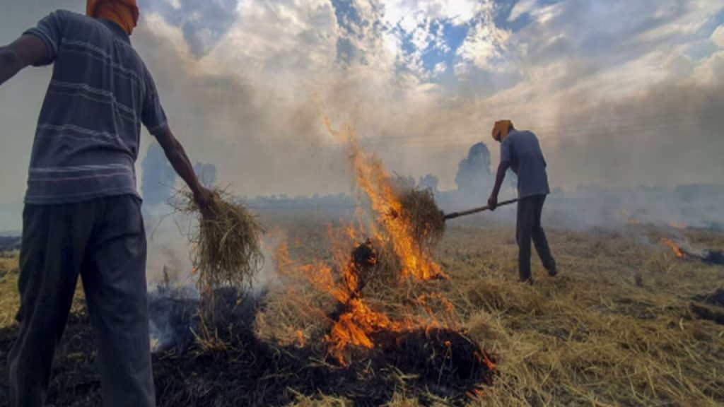 Bhopal: First FIR registered in stubble burning case
