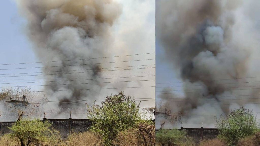 bhopal: A huge fire broke out in BHEL's green belt area