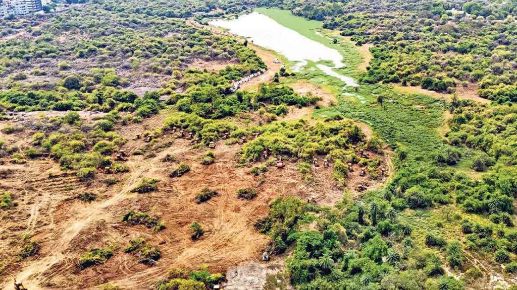 Kancha Gachibowli Forest