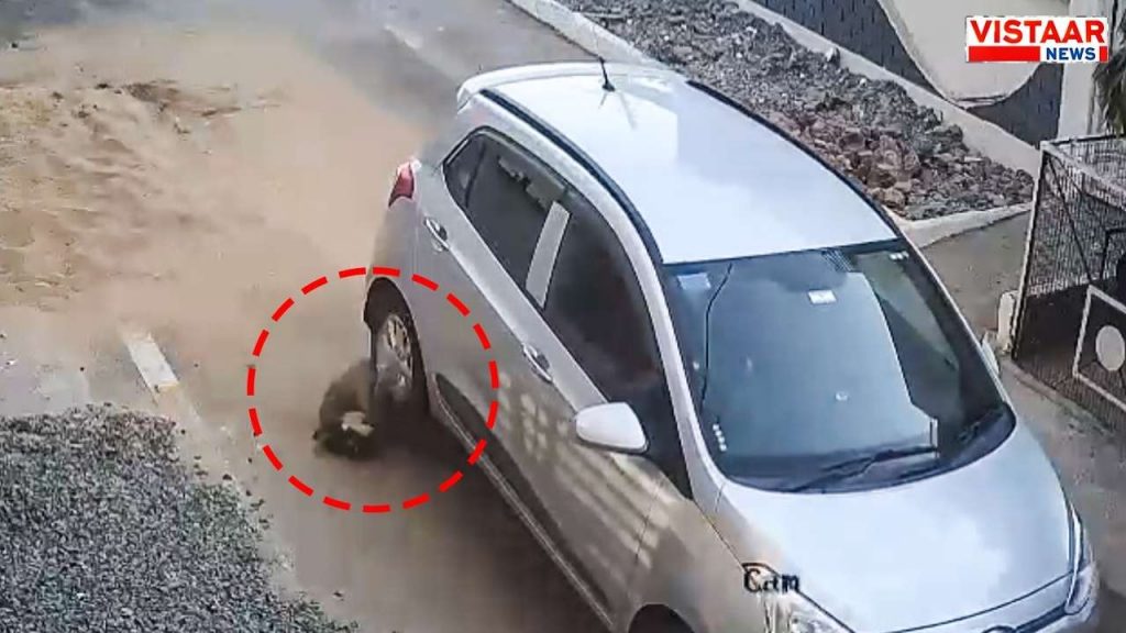 The loco pilot's car crushed the pet dog