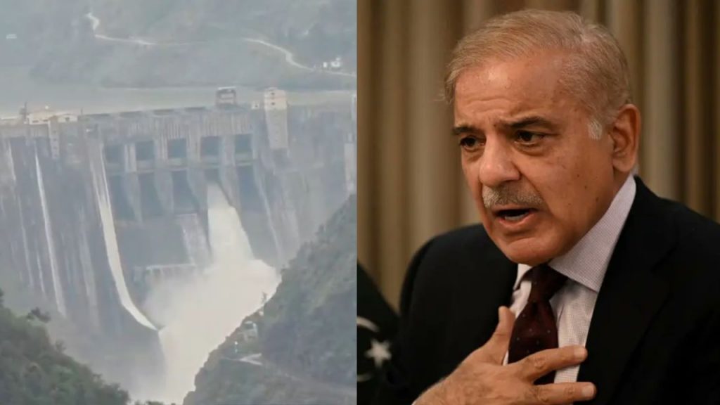 Pakistan PM Shehbaz Sharif