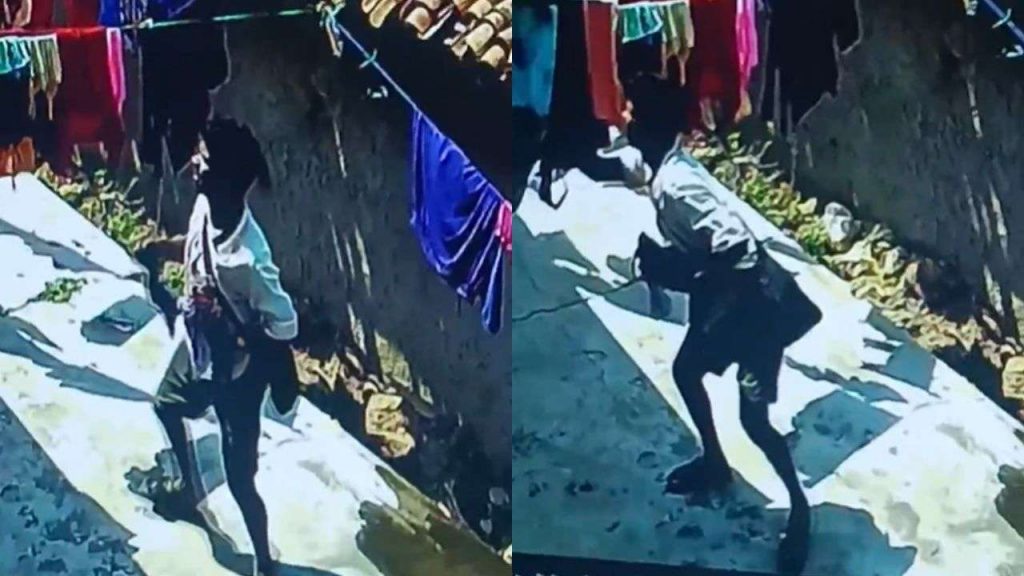 A young man was caught on CCTV camera stealing women's undergarments.