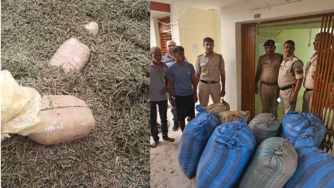 Police recovered ganja worth Rs 50 lakh.