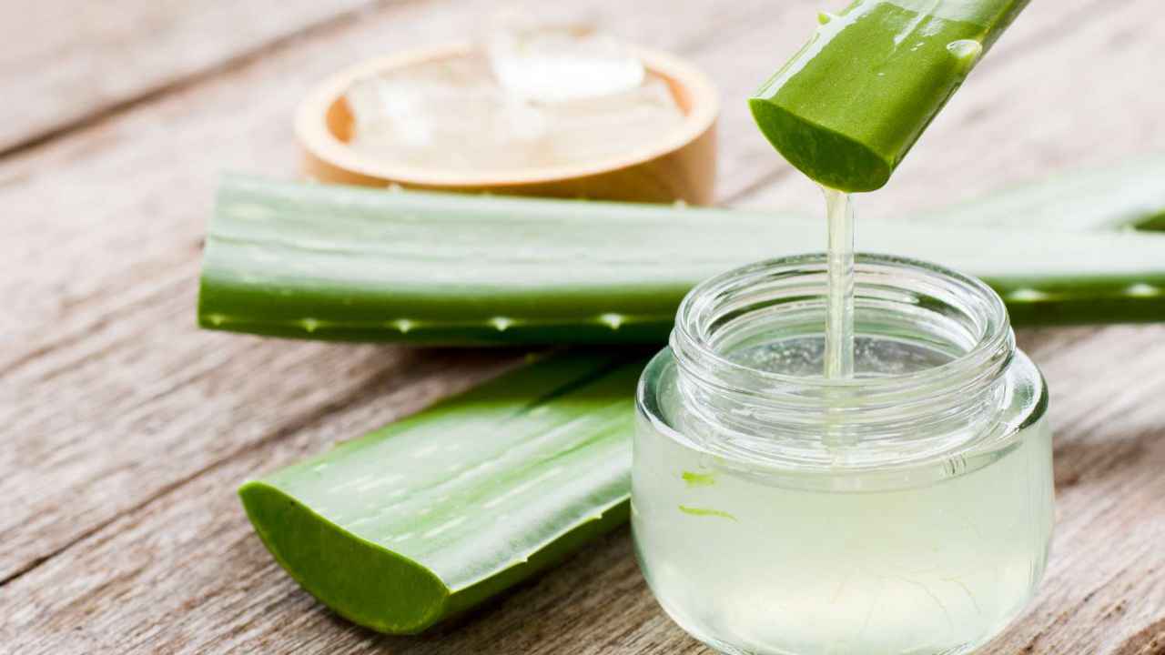 aloevera