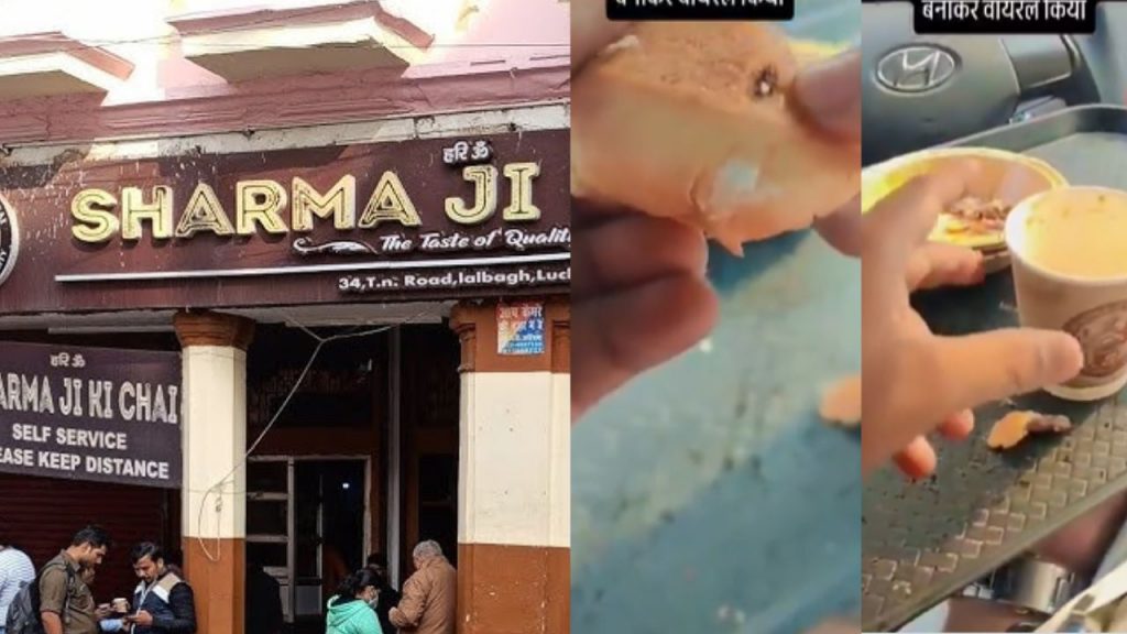 A cockroach was found in the butter prepared at Sharmaji's tea shop in Lucknow.