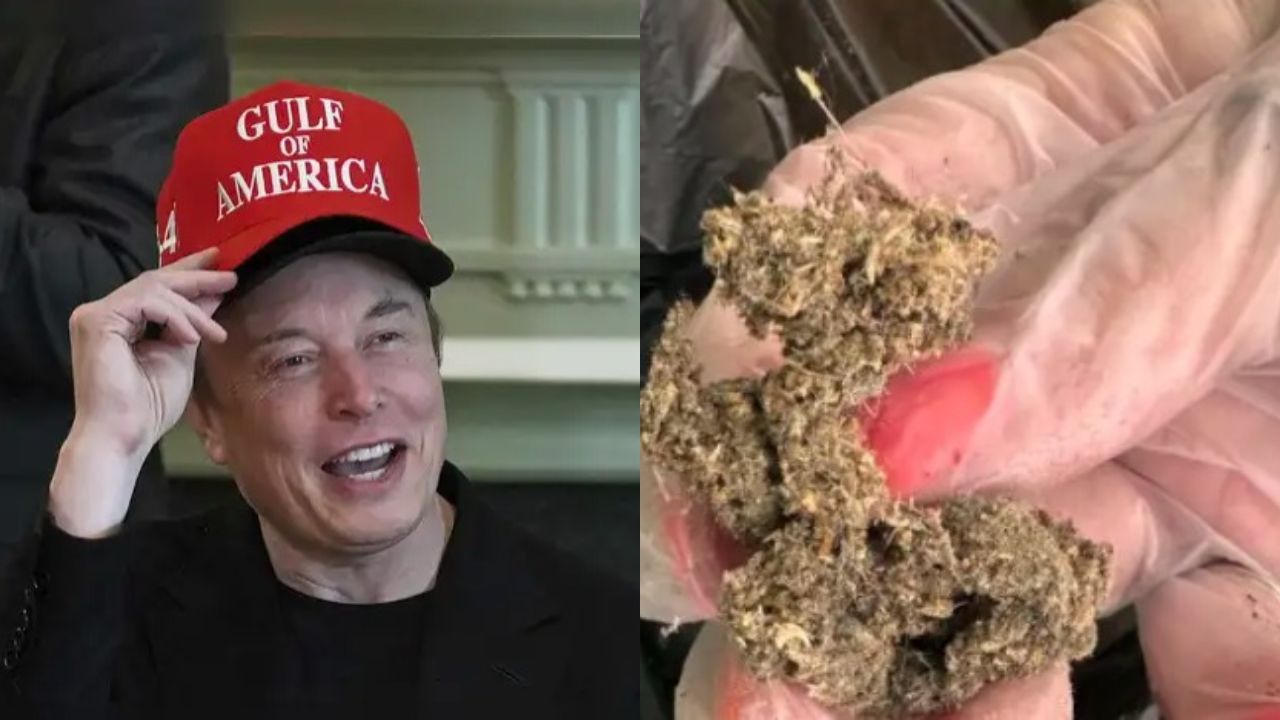 USIP Office Controversy