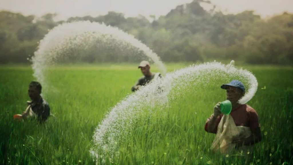 China Urea Export Ban