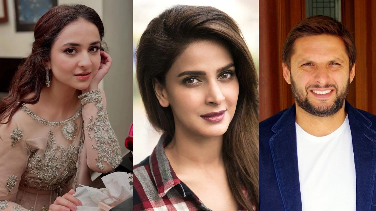 The ban on social media accounts of Pakistani celebrities was lifted in India
