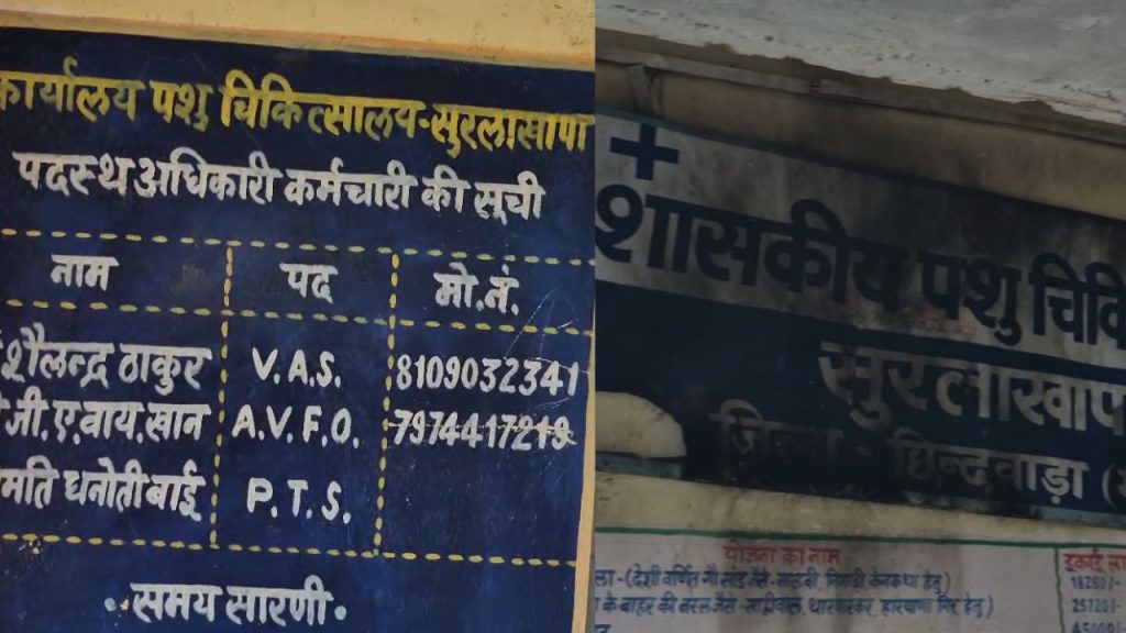 Officers and employees were found absent in the veterinary office in Chhindwara.