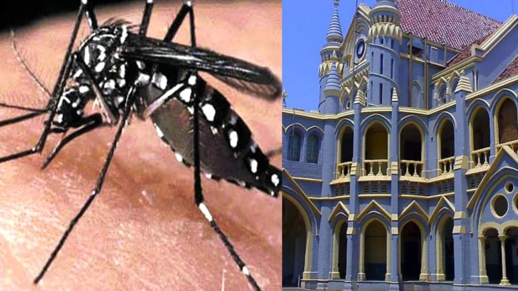The High Court sought a reply from the government on the arrangements made to deal with mosquito-borne diseases.
