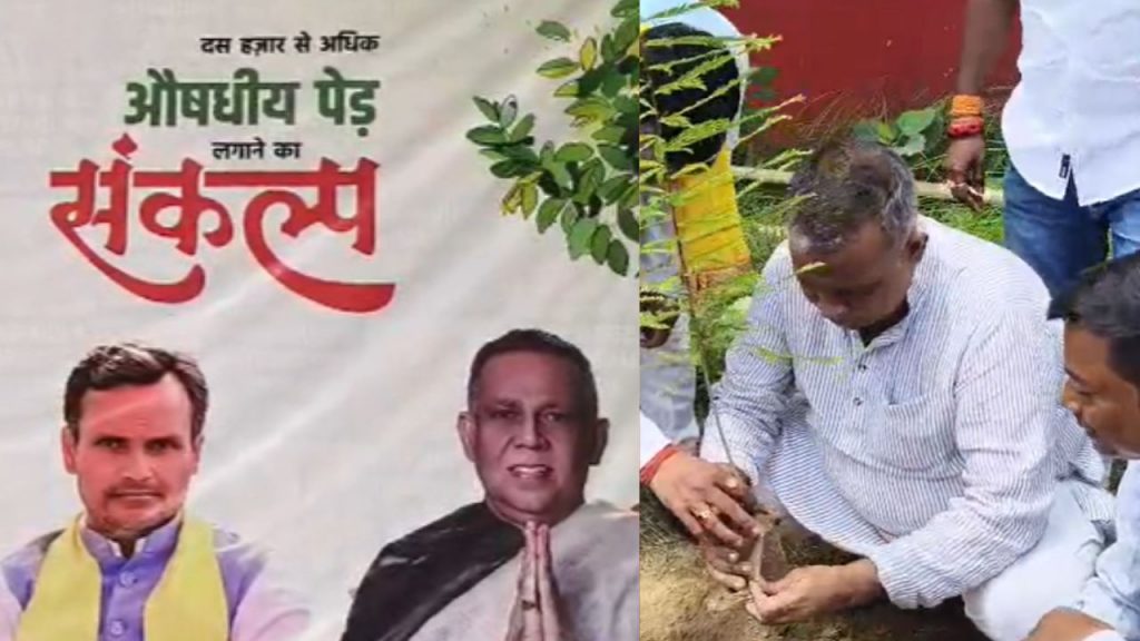 Rajesh Singh Dayal Foundation is planting one lakh saplings.
