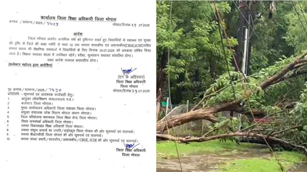 A tree fell on the road during rain in Bhopal.