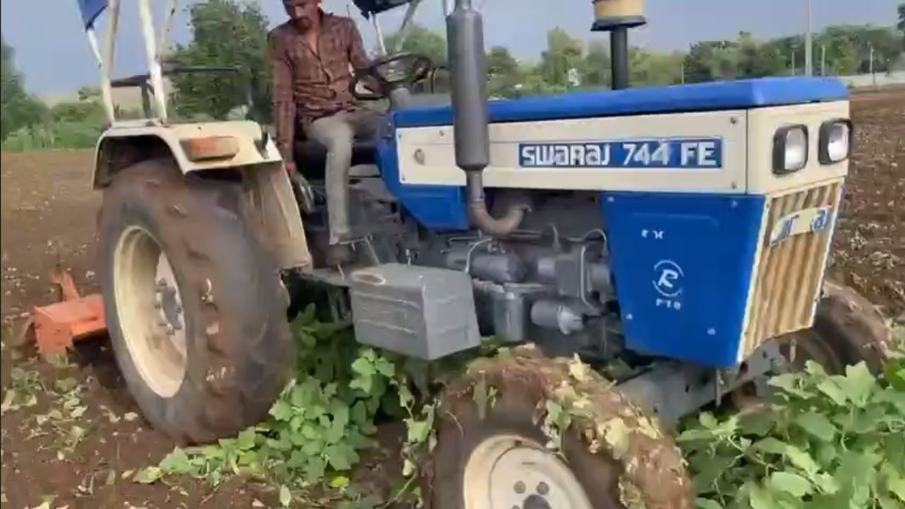 Barwani: farmer destroying crop