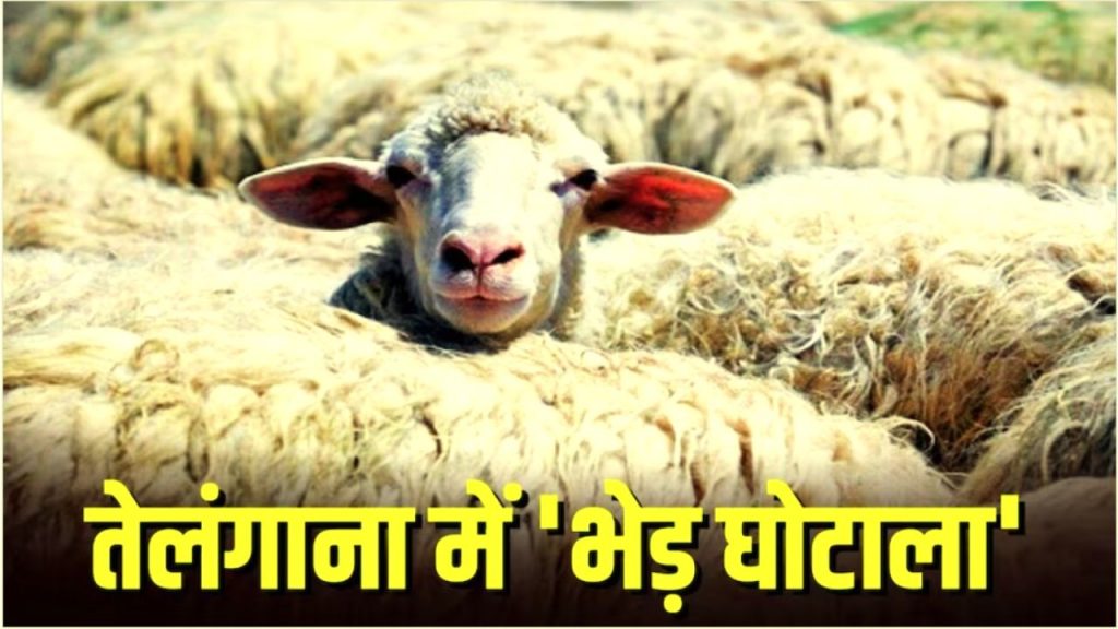 Telangana Sheep Distribution Scam