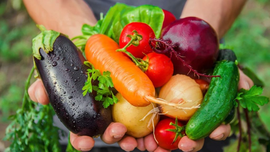 chhattisgarh vegetable