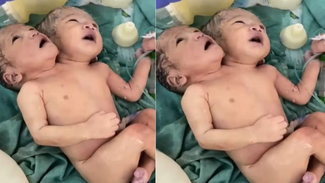 Indore two head girl born