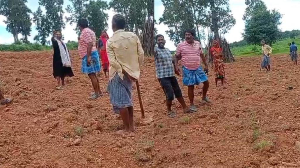 Controversy over planting of saplings in Sarguja