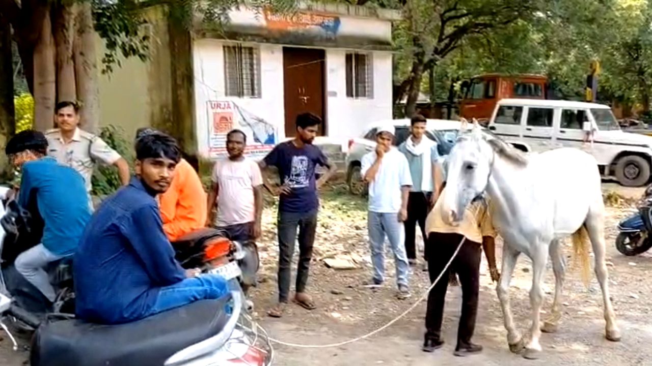 A young man reached the police station with a horse