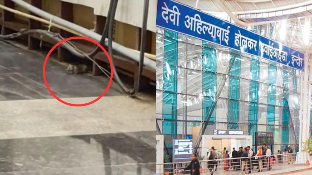 Indore Airport Passenger bitten by Rat