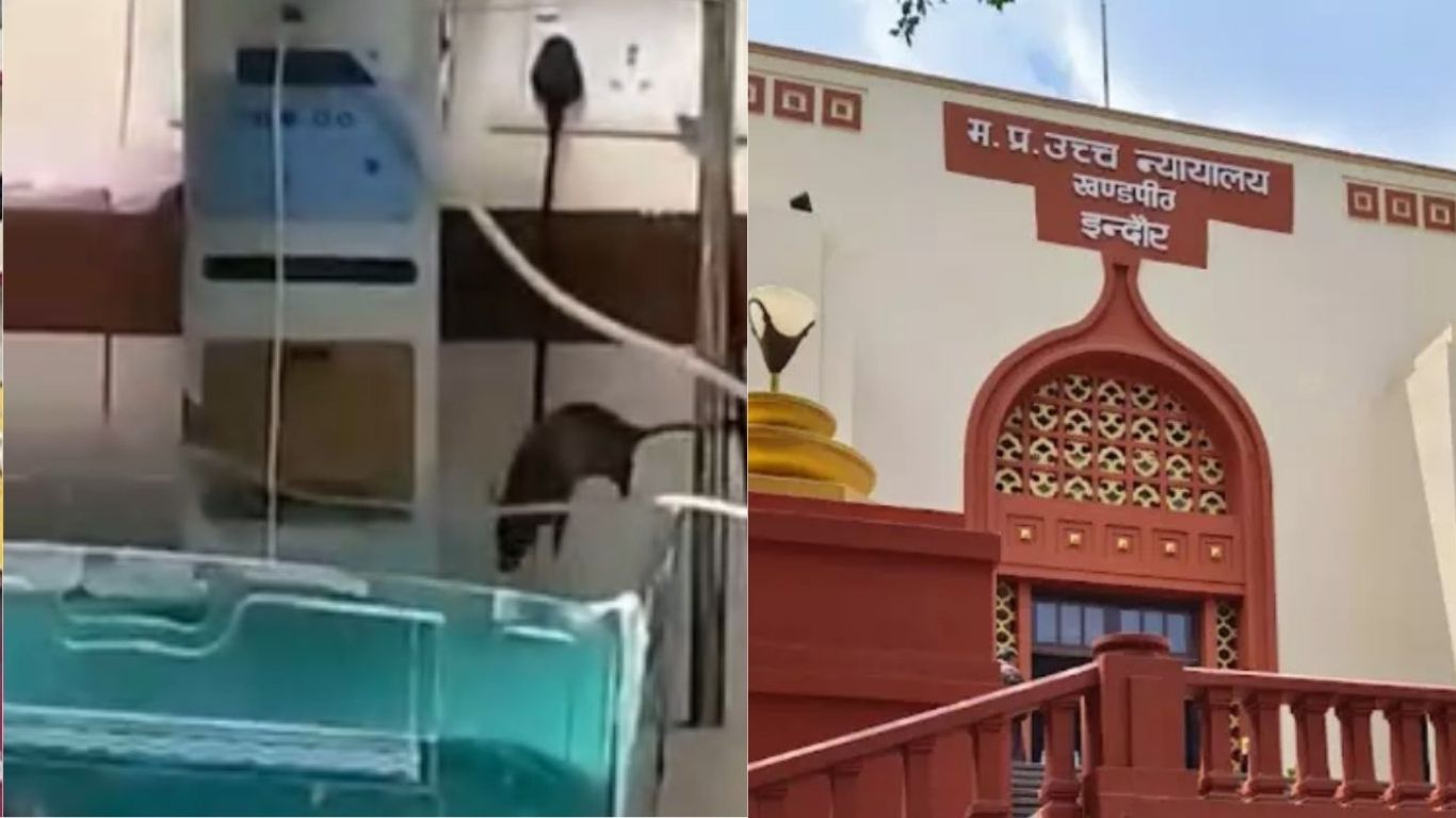 Madhya Pradesh High Court Indore Bench