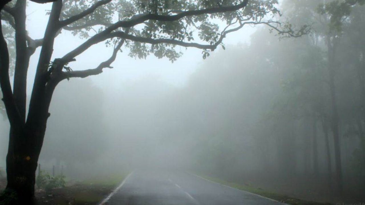 cg weather forecast today