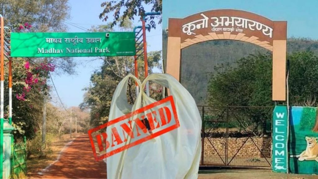 Single-use plastic ban