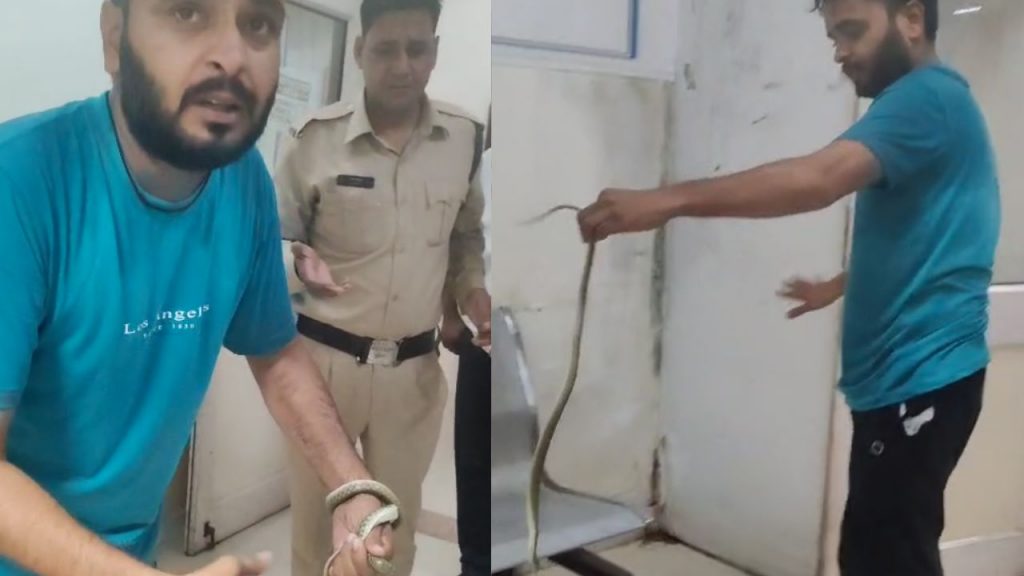 The young man reached the District hospital with the snake