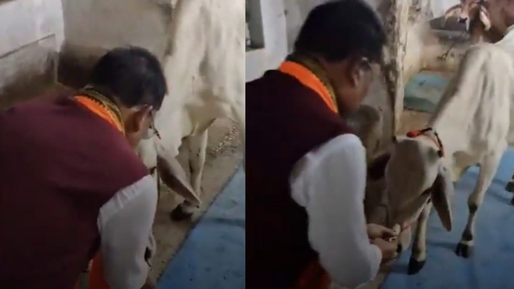 Raipur: CM Vishnudev Sai fed jaggery and roti to a cow before the lunar eclipse at the Chief Minister's residence