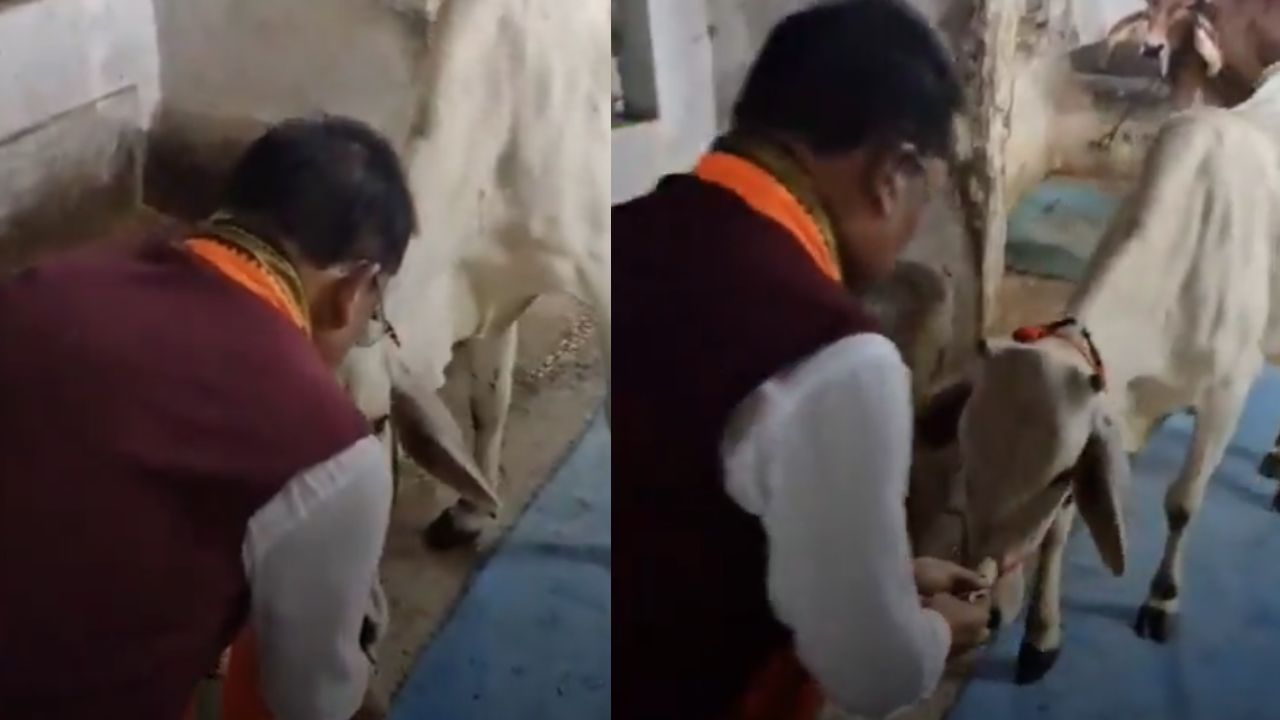 Raipur: CM Vishnudev Sai fed jaggery and roti to a cow before the lunar eclipse at the Chief Minister's residence