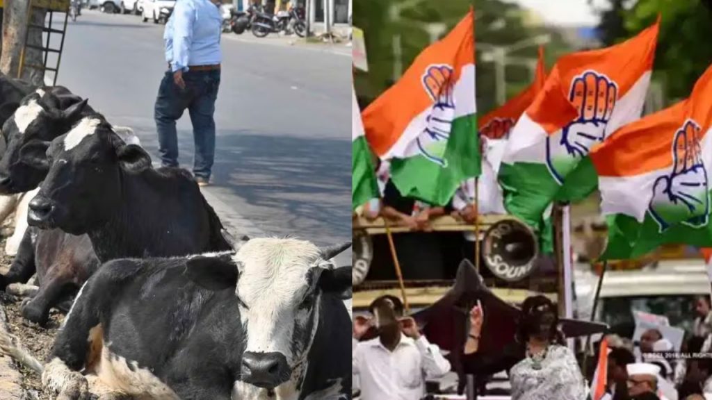 Zero GST on beef in Madhya Pradesh, Congress to protest in the state