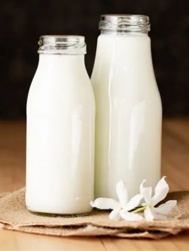 Cheapest Milk Price In India