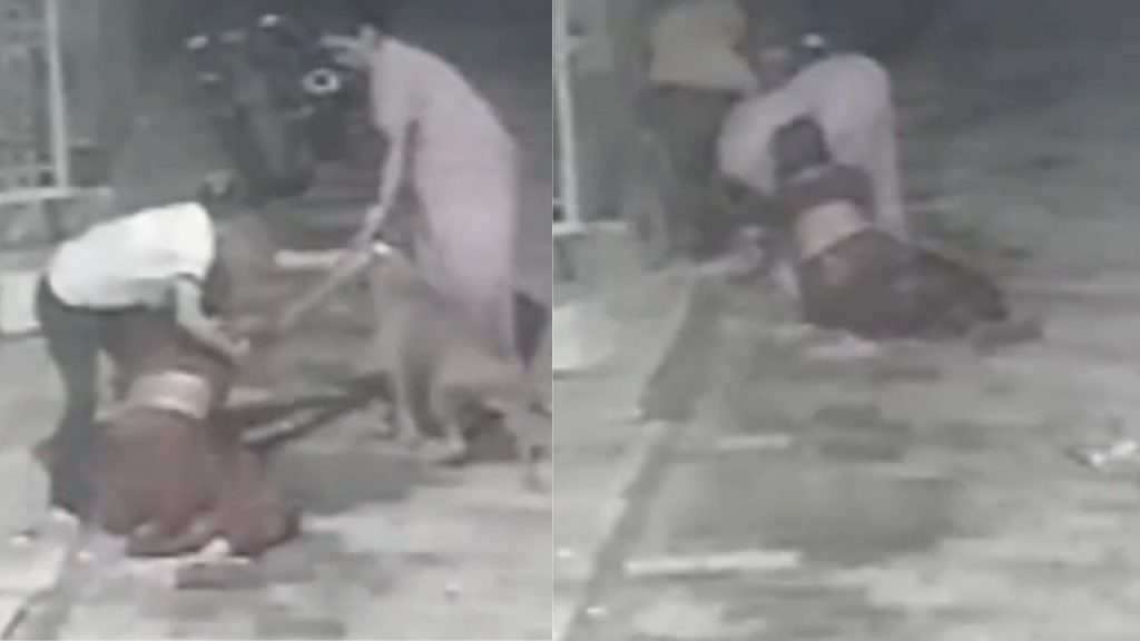 Pitbull dog attacked woman