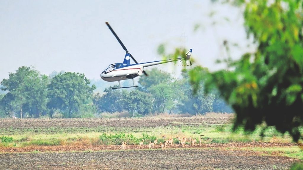 Boma technique helps rescue deer in MP
