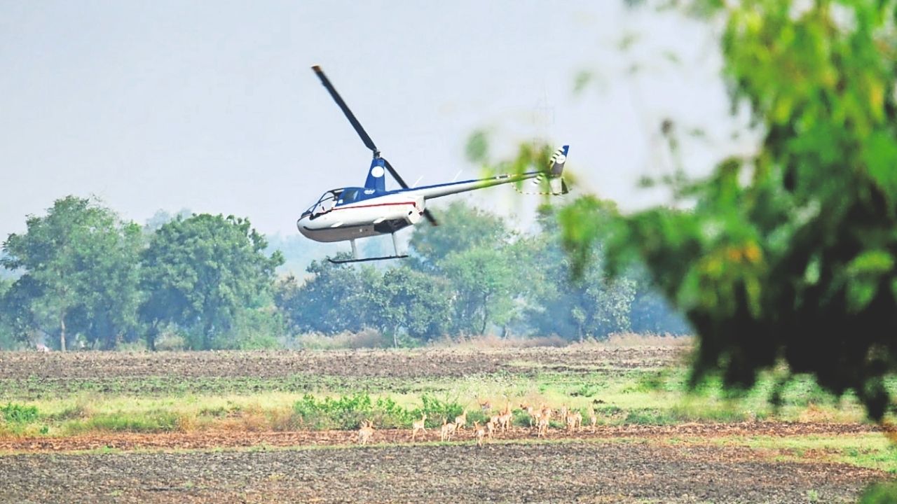 Boma technique helps rescue deer in MP