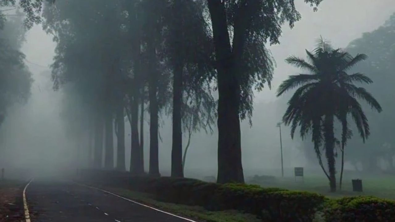 Madhya Pradesh will experience severe cold from November.