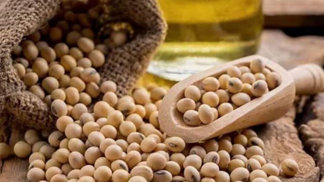 Soybean will be purchased in MP