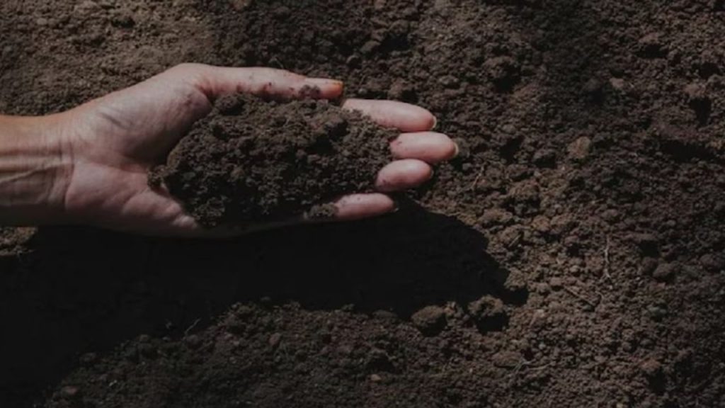 CSE Soil Report 2025