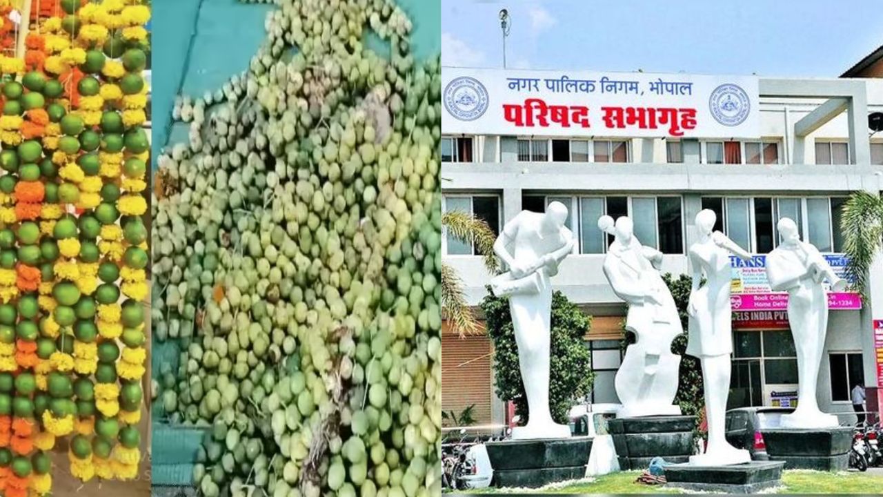 Bhopal Municipal Corporation's initiative to collect lemons from Durga pandals to make bio-enzyme spray