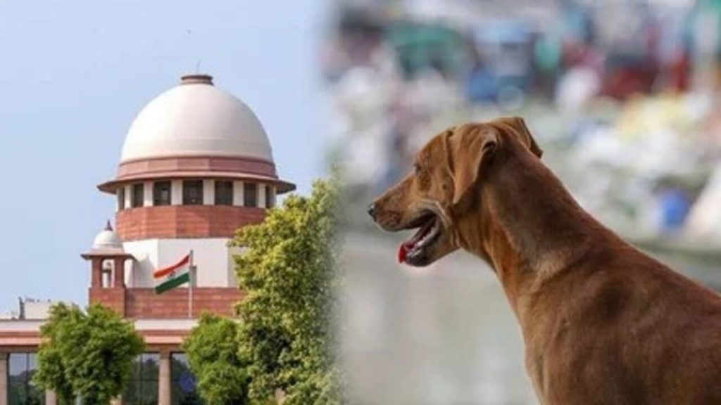 Supreme Court On Stray Dogs