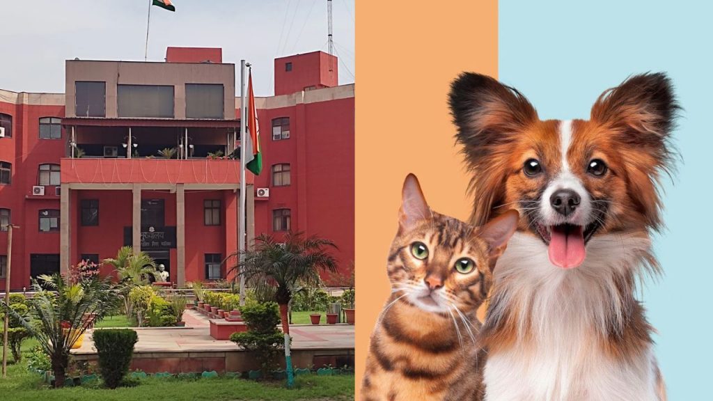Gwalior pet registration for dogs and cats