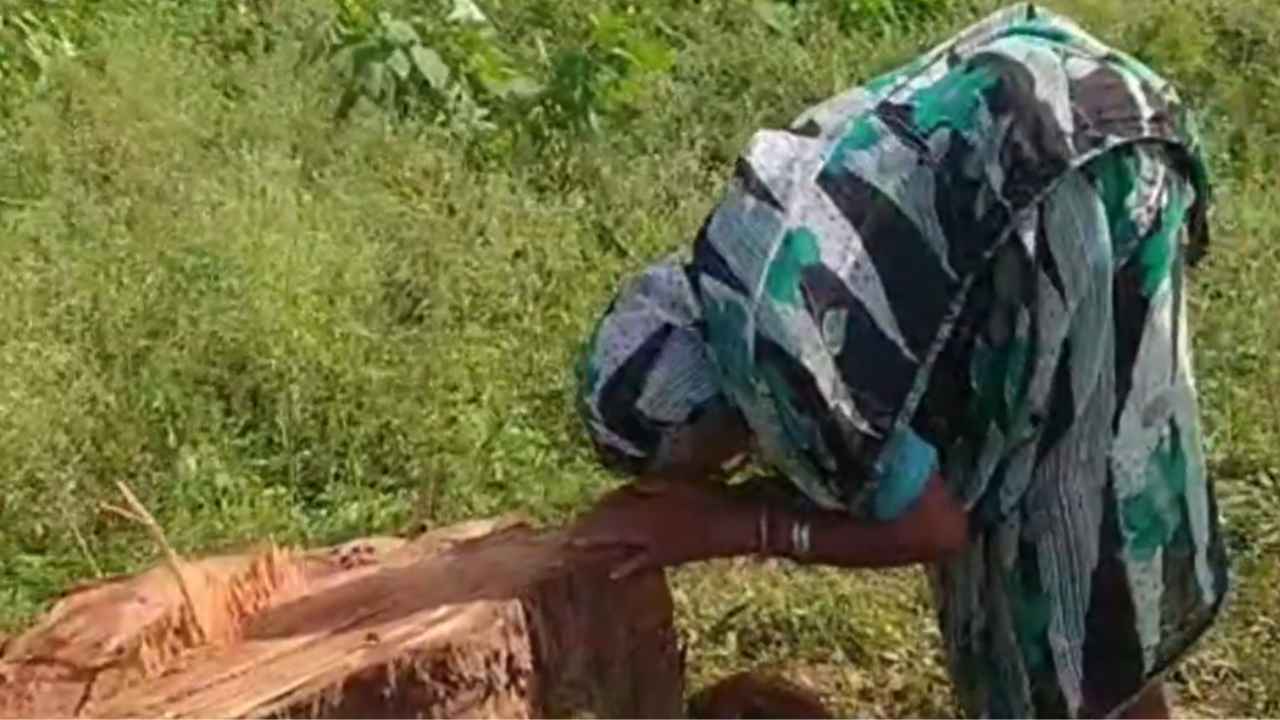 khairagarh_viral_video