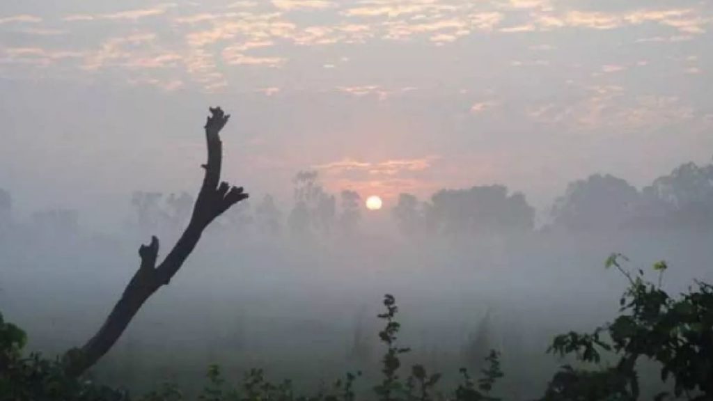 MP weather breaks 84-year cold record; Ditwa storm to impact temperatures