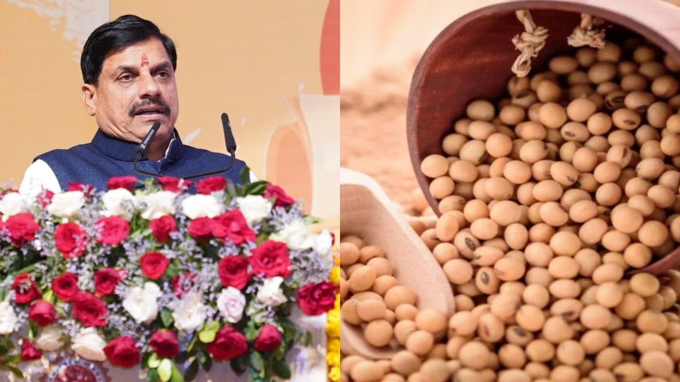 CM Mohan Yadav announced the price difference amount on soybean