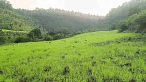 op 8 tourist places in Kawardha