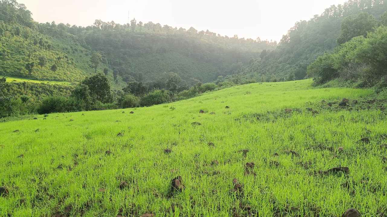 op 8 tourist places in Kawardha