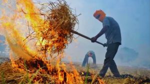 Madhya Pradesh has become the country's new hotspot in stubble burning cases