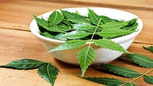 Neem Leaves Benefits