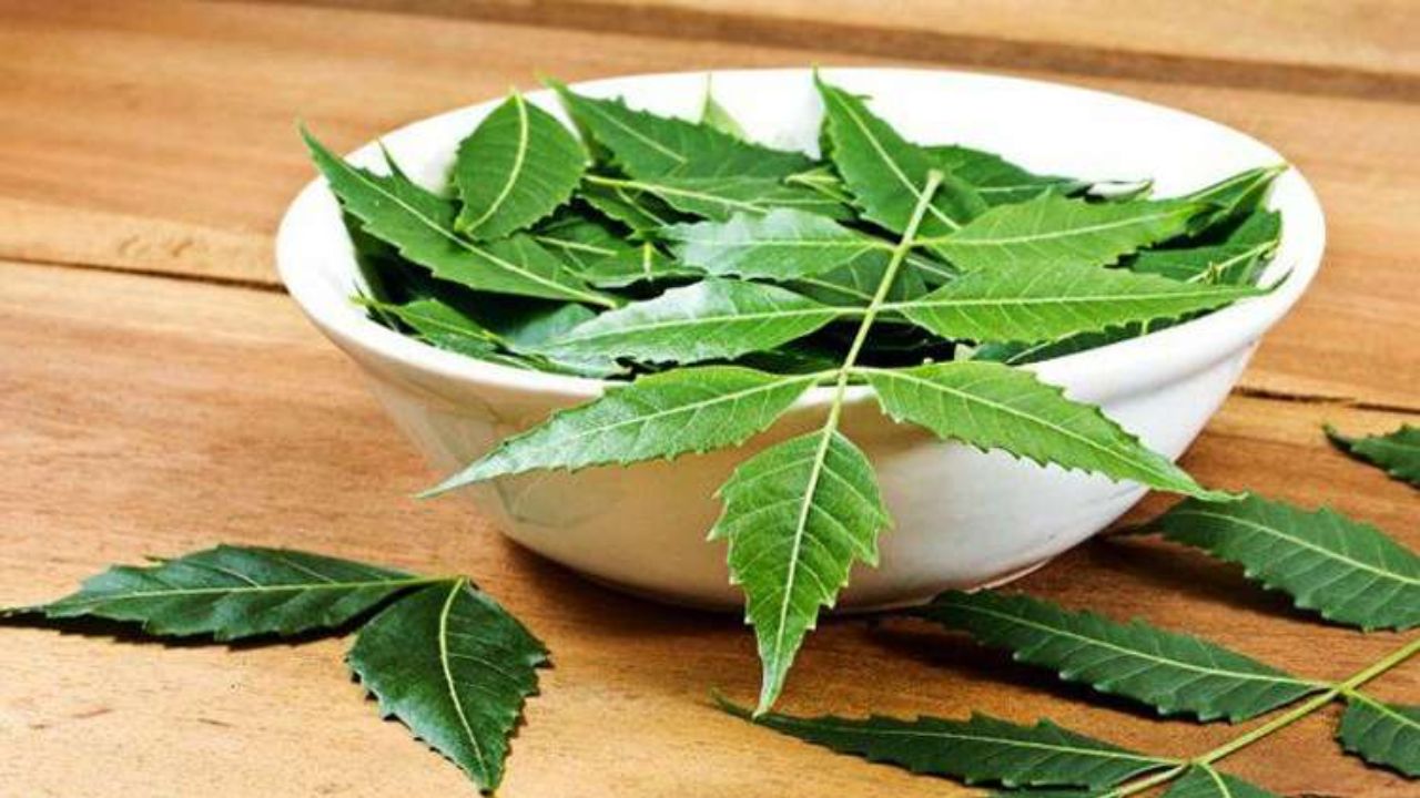 Neem Leaves Benefits